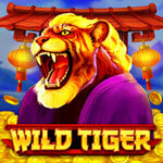Wild Tiger