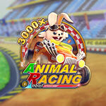 Animal Racing