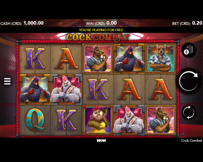 Cock Combat