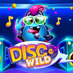 Disco Wild