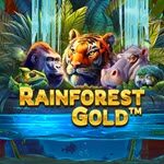 Rainforest Gold