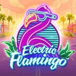 Electric Flamingo