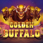 Golden Buffalo (QORA)