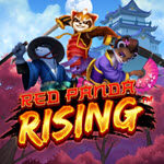 Red Panda Rising