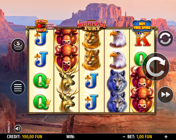 Buffalo Fury