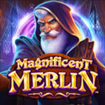 Magnificent Merlin
