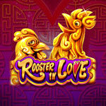 Rooster in Love