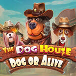 The Dog House - Dog or Alive