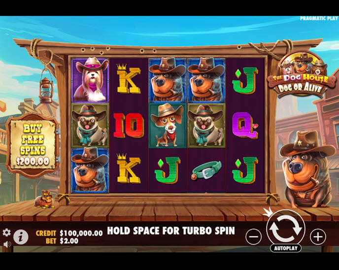 The Dog House - Dog or Alive