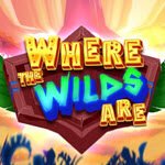 Where the Wilds Are