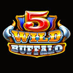 5 Wild Buffalo