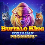 Buffalo King Untamed Megaways