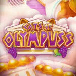 Cats of Olympuss
