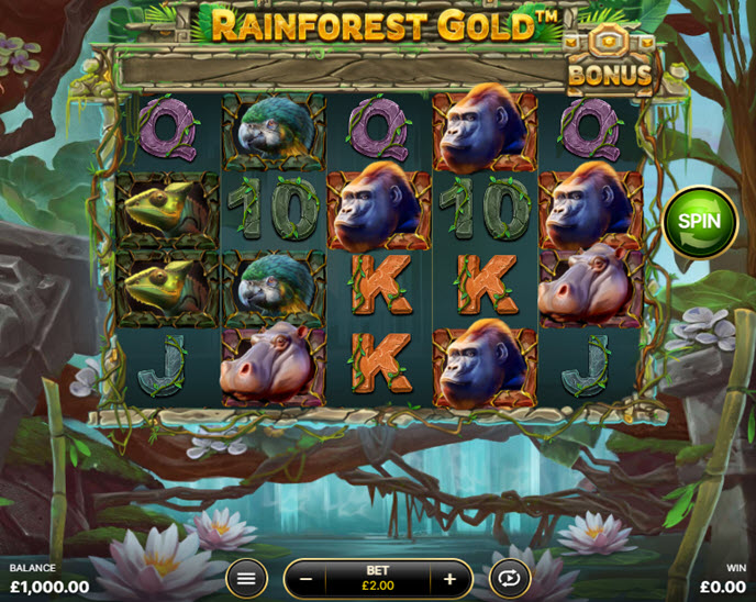 Rainforest Gold