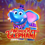 Wonder Elephant