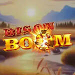 Bison Boom