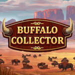 Buffalo Collector