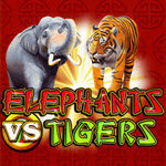 Elephants vs Tigers