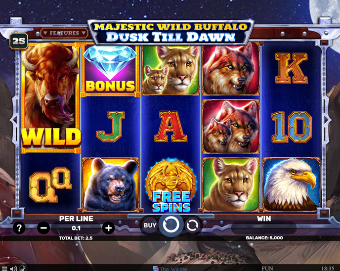 Majestic Wild Buffalo - Dusk Till Dawn