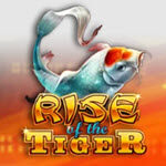 Rise of the Tiger