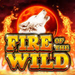 Fire of the Wild
