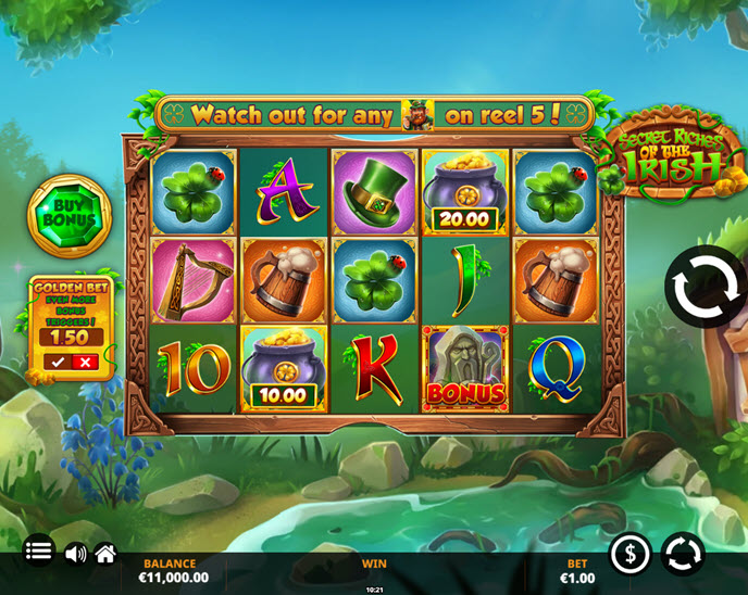 Secret Riches of the Irish