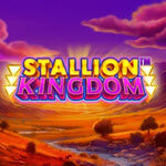Stallion Kingdom