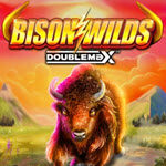 Bison Wilds DoubleMax