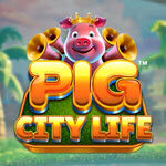Pig City Life