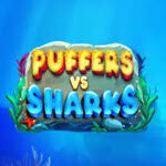 Puffers Vs Sharks