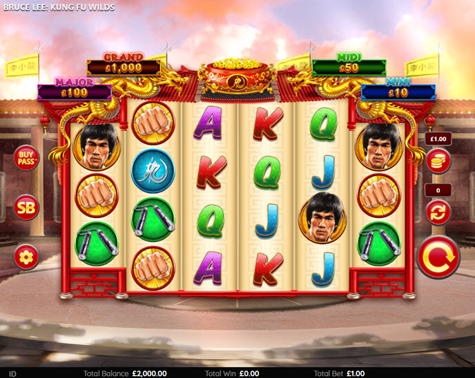 Bruce Lee Kung Fu Wilds