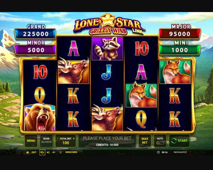 Lone Star Link Grizzly Wins