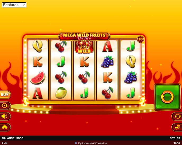 Mega Wild Fruits - On Fire