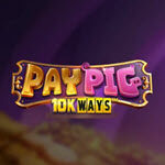 Pay Pig 10K ways