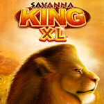 Savannah King XL