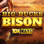 Big Bucks Bison 10k Ways