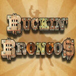 Buckin Broncos