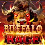 Buffalo Rage