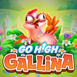 Go High Gallina
