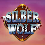 Silber Wolf