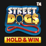 Street Dogs