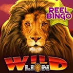 Wild Lion with Reel Bingo