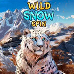 Wild Snow Spin