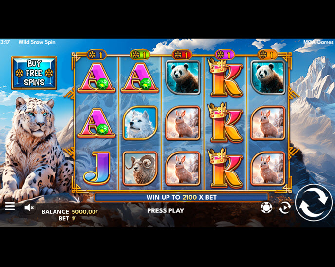 Wild Snow Spin