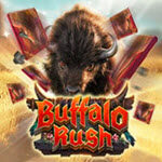 Buffalo Rush