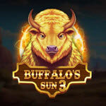 Buffalo's Sun 3