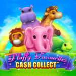 Fluffy Favourites Cash Collect