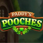 Paddy’s Pooches