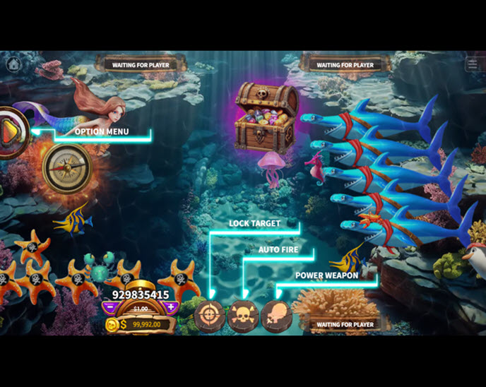 Pirate Treasure Hunt