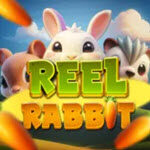 Reel Rabbit